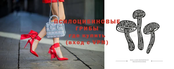 ПСИЛОЦИБИНОВЫЕ ГРИБЫ Богородицк