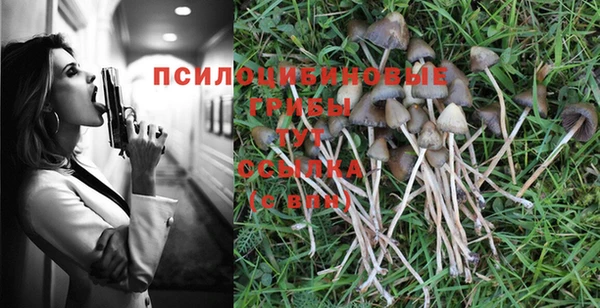 ALPHA PVP Бородино