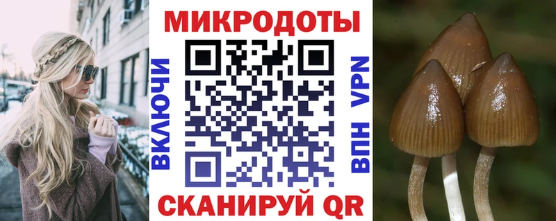 Галлюциногенные грибы Cubensis Вяземский